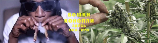 прущие грибы Балахна