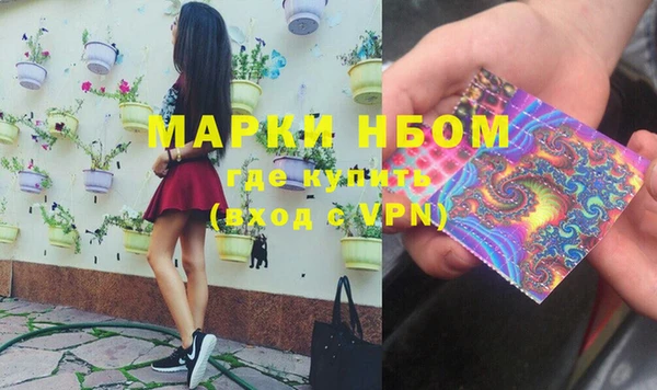 прущие грибы Балахна