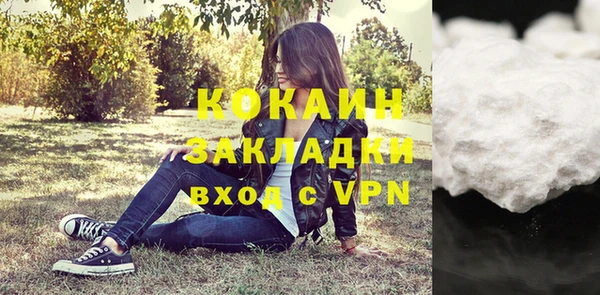 прущие грибы Балахна