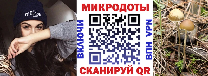 Галлюциногенные грибы Psilocybine cubensis  наркотики  Заозёрск 